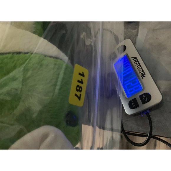 Walmart Green Frog Pink Bow Bunny Ears Easter 14.5 Inch Plastic Eyes Plush Stuff - Picture 11 of 11